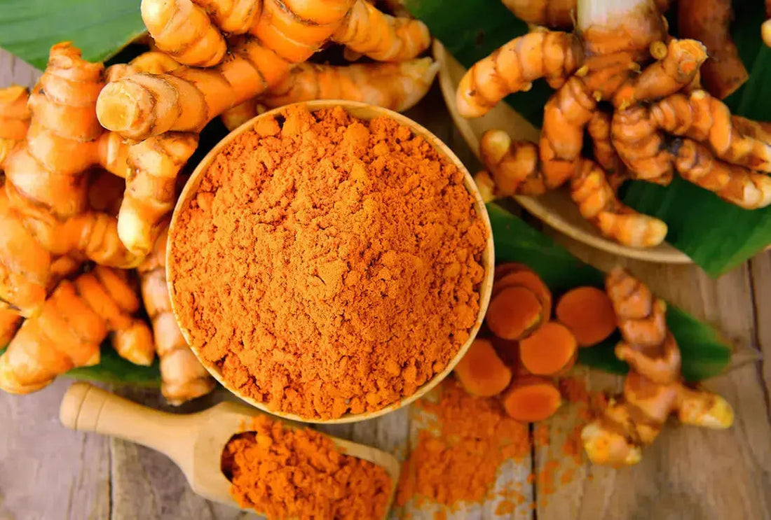 Which-Turmeric-Powder-is-Best My Store